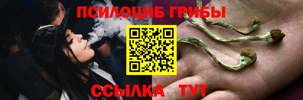 Сочи  Псилоцибиновые грибы мицелий  цена наркотик  Вход с VPN 